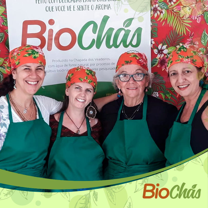 Capa de post para Instagram - Biochás